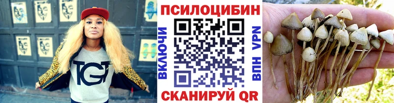 Галлюциногенные грибы мицелий  Купить  Владимир 